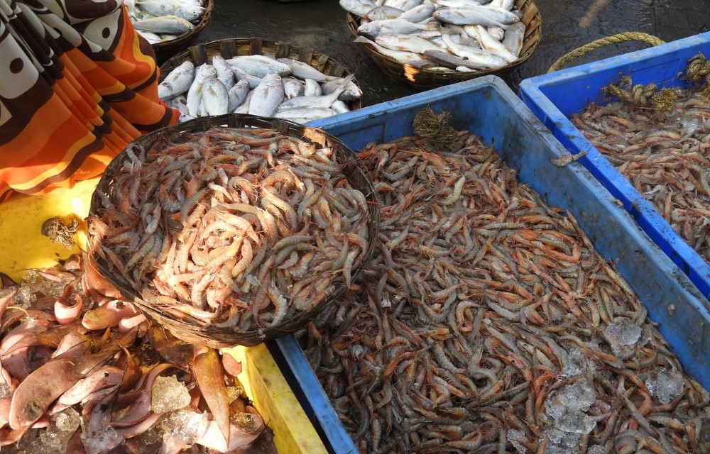Harnai Fish Market